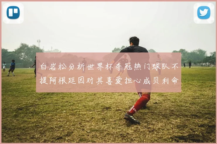 白岩松分析世界杯夺冠热门球队不提阿根廷因对其喜爱担心成贝利命运