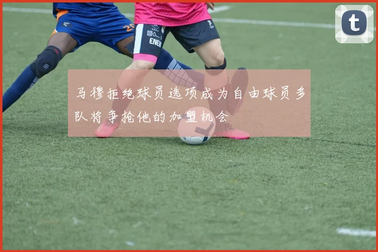 马穆拒绝球员选项成为自由球员多队将争抢他的加盟机会