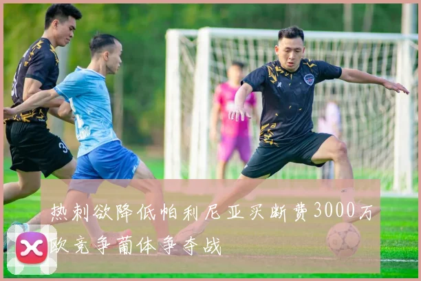 热刺欲降低帕利尼亚买断费3000万欧竞争葡体争夺战